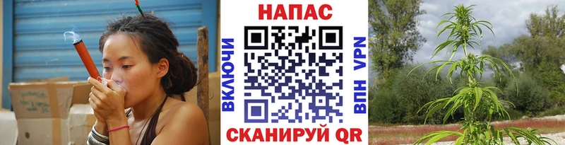 МАРИХУАНА индика Рыбинск